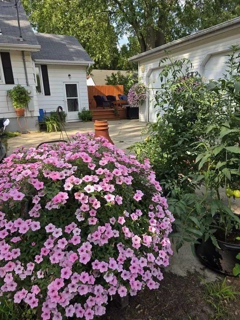 Exterior - 1271 S Dye, Flint, MI 48532 photo 10 of 10