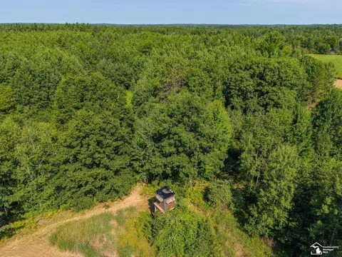 3850 N Clarwin, Gladwin, MI 48624 photo 27