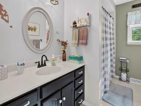 Bath - 2811 Huckleberry Trl, Farwell, MI 48622 photo 2 of 3