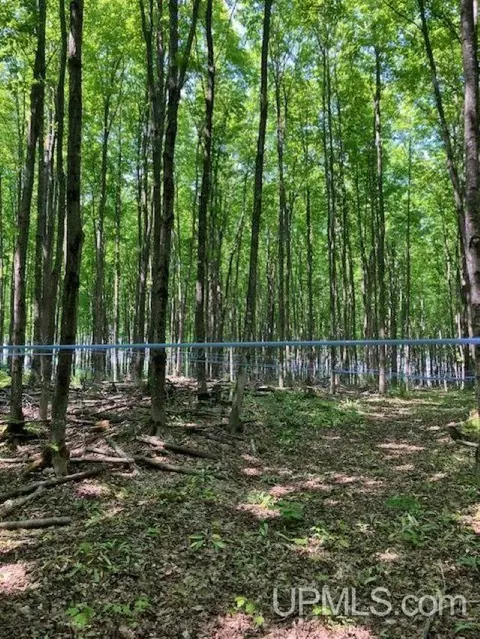 Other - n3395 Raspberry Lane, Munising, MI 49862 photo 17 of 18