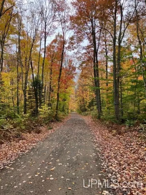 Other - n3395 Raspberry Lane, Munising, MI 49862 photo 18 of 18
