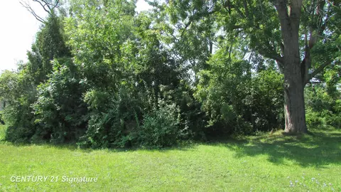 Parcel A Gratiot, Saginaw, MI 48638