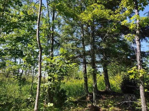 Exterior - tbd Moyer, Baraga, MI 49908 photo 13 of 13