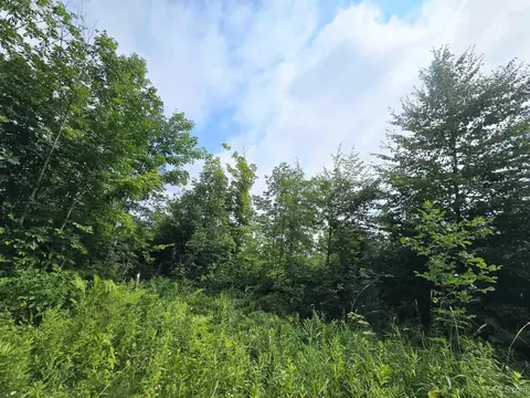 Exterior - tbd Moyer, Baraga, MI 49908 photo 8 of 13