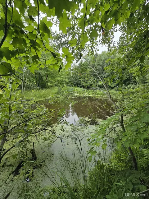 View/Area - tbd Moyer, Baraga, MI 49908 photo 1 of 1