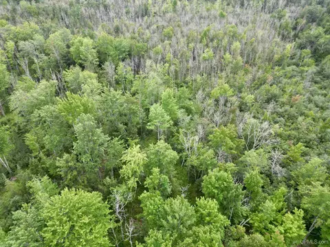 1509 8th, Bark River, MI 49807 photo 18