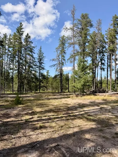 61 Road 1, Ishpeming, MI 49849 photo 5