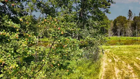 Other - G Rd, Escanaba, MI 49829 photo 4 of 10