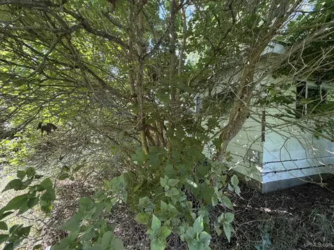 Exterior - 4310 E Laporte, Freeland, MI 48623 photo 17 of 32
