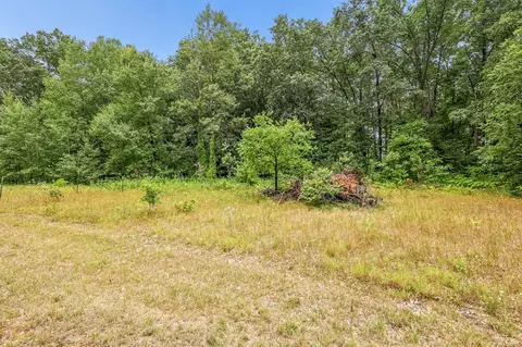 W Parklane, White Cloud, MI 49349 photo 9