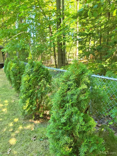 Exterior - 64 Elder, Marquette, MI 49855 photo 7 of 11