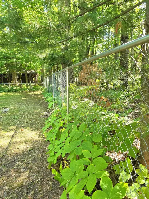 Other - 64 Elder, Marquette, MI 49855 photo 15 of 15