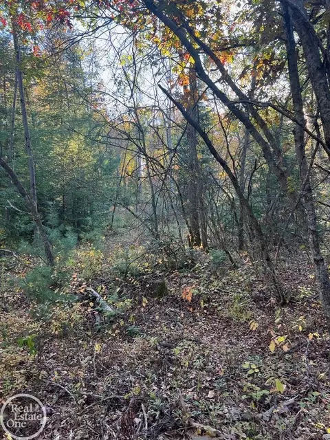 00 Lansing, Roscommon, MI 48653 photo 6