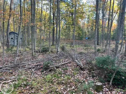 00 Lansing, Roscommon, MI 48653 photo 5