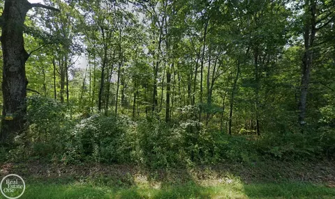 00 Lansing, Roscommon, MI 48653 photo 7
