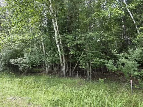 lot41 Sandbridge, Gladwin, MI 48624 photo 2