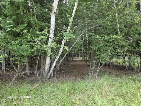lot41 Sandbridge, Gladwin, MI 48624 photo 3
