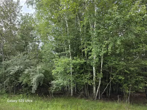 lot41 Sandbridge, Gladwin, MI 48624 photo 6