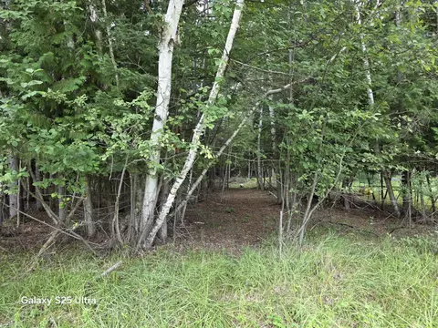 lot41 Sandbridge, Gladwin, MI 48624 photo 4
