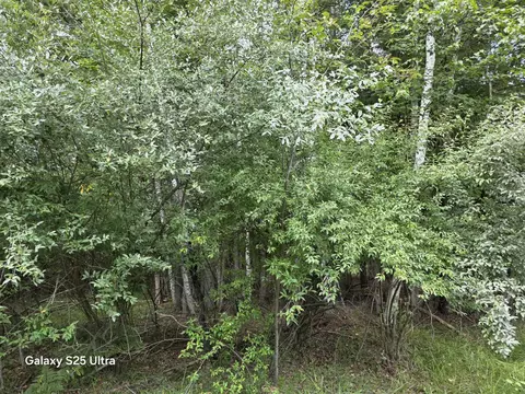 lot41 Sandbridge, Gladwin, MI 48624 photo 5