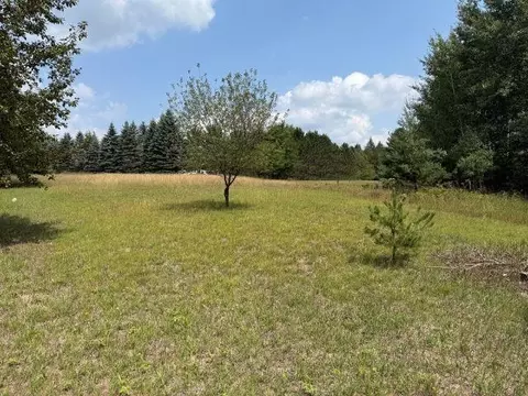 lot101 Westchester, Gladwin, MI 48624 photo 3