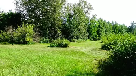 Exterior - 5009 State, Hale, MI 48739 photo 16 of 19