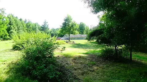 Exterior - 5009 State, Hale, MI 48739 photo 15 of 19