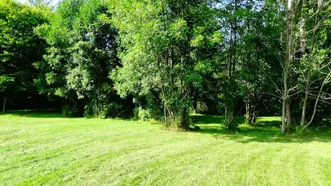 Exterior - 5009 State, Hale, MI 48739 photo 9 of 19