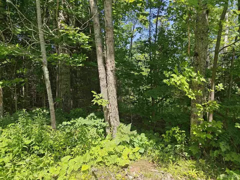 tbd Off Woodspur, Ontonagon, MI 49953