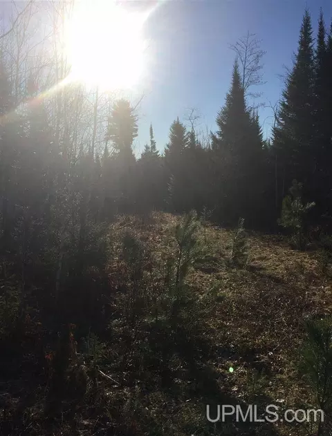 tbd Off Co Rd 478 #S80, Ishpeming, MI 49849 photo 5