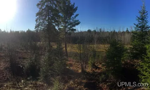 tbd Off Co Rd 478 #S80, Ishpeming, MI 49849 photo 13