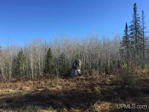 tbd Off Co Rd 478 #S80, Ishpeming, MI 49849 photo 14