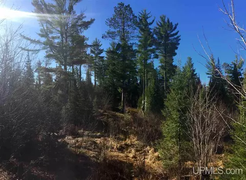 tbd Off Co Rd 478 #S80, Ishpeming, MI 49849 photo 18