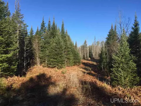 tbd Off Co Rd 478 #S80, Ishpeming, MI 49849 photo 2