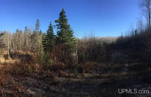 tbd Off Co Rd 478 #S80, Ishpeming, MI 49849 photo 10