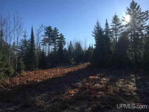 tbd Off Co Rd 478 #S80, Ishpeming, MI 49849 photo 7