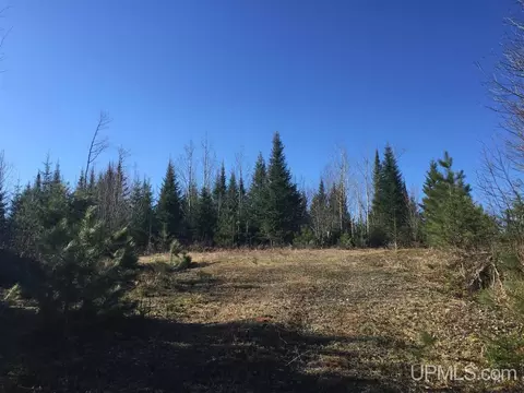 tbd Off Co Rd 478 #S80, Ishpeming, MI 49849 photo 17