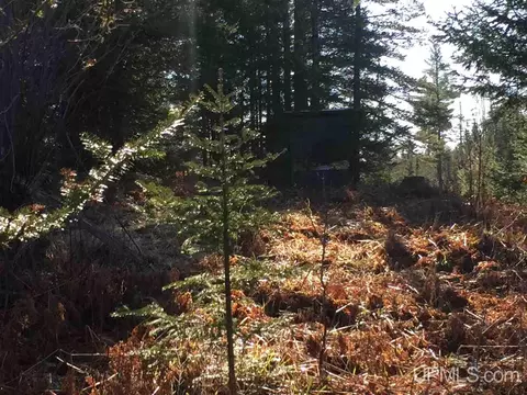 tbd Off Co Rd 478 #S80, Ishpeming, MI 49849 photo 3