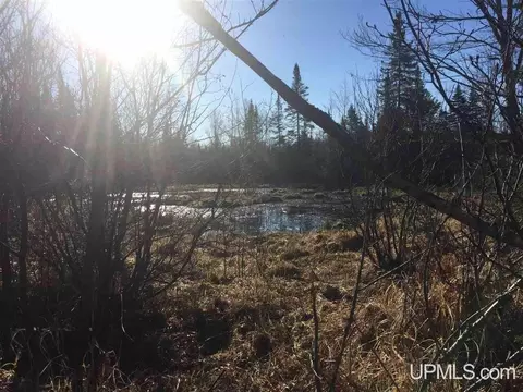 tbd Off Co Rd 478 #S80, Ishpeming, MI 49849 photo 6