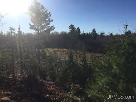 tbd Off Co Rd 478 #S80, Ishpeming, MI 49849 photo 12