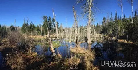 tbd Off Co Rd 478 #S80, Ishpeming, MI 49849 photo 9
