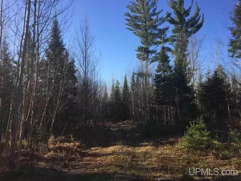 tbd Off Co Rd 478 #S80, Ishpeming, MI 49849 photo 4