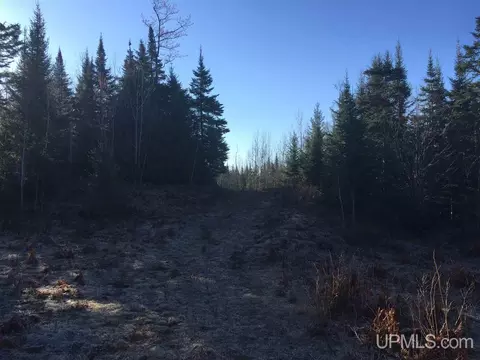 tbd Off Co Rd 478 #S80, Ishpeming, MI 49849 photo 8
