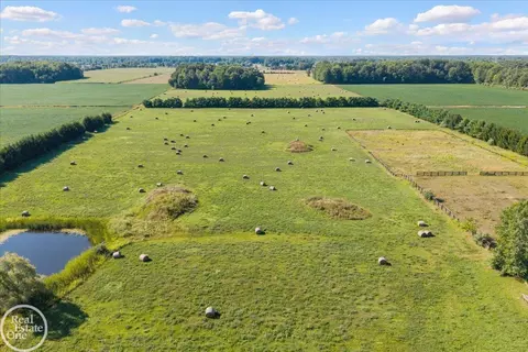 View/Area - 6277 Fred W Moore, East China, MI 48054 photo 12 of 14