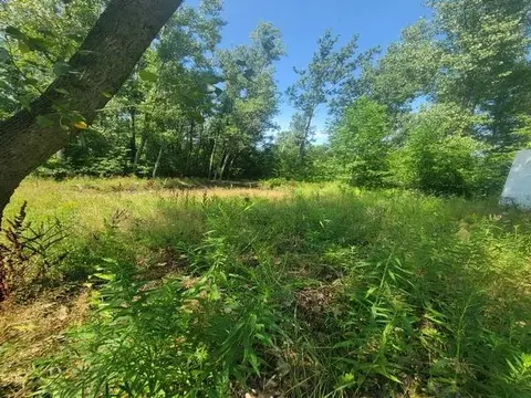 Exterior - 2615 Schaffer, Turner, MI 48765 photo 2 of 2