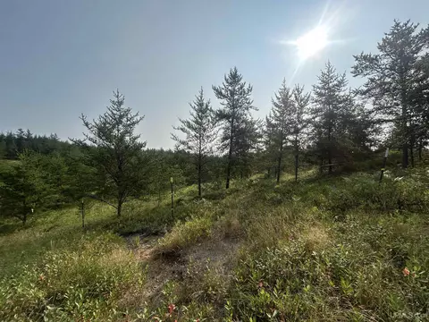 Exterior - 19685 County Road Cg, Ishpeming, MI 49849 photo 24 of 25