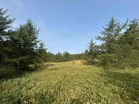 Exterior - 19685 County Road Cg, Ishpeming, MI 49849 photo 21 of 25