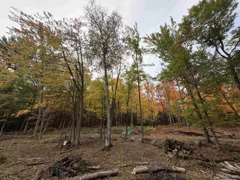 tbd Chilman, Ishpeming, MI 49849 photo 19