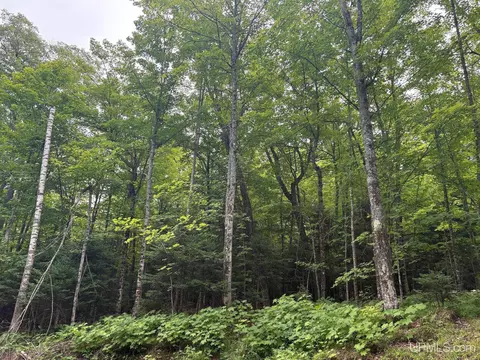 tbd Chilman, Ishpeming, MI 49849 photo 10