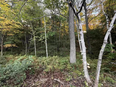 tbd Chilman, Ishpeming, MI 49849 photo 9